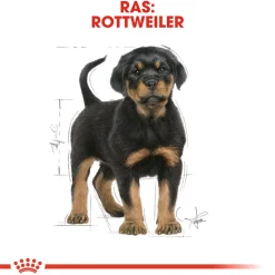 Royal Canin Rottweiler Puppy - Hondenvoer