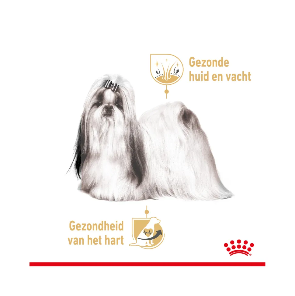 Royal Canin Shih Tzu Wet