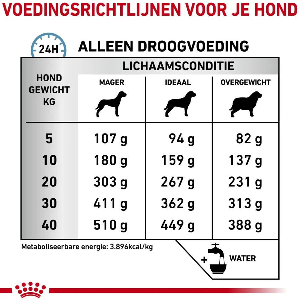 Royal Canin Skin Care Hond