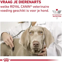 Royal Canin Skin Care Kleine Hond
