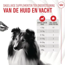 Royal Canin Skin & Coat Supplements Chews Hond