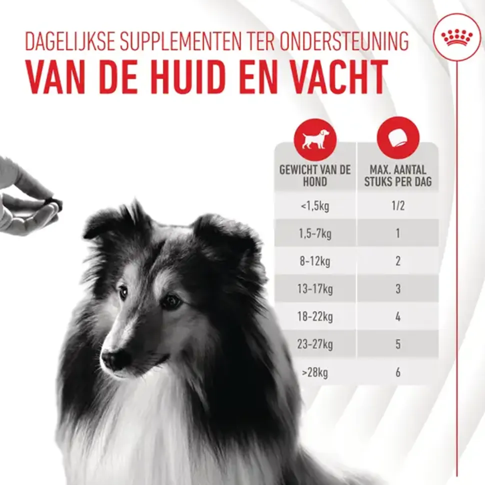 Royal Canin Skin & Coat Supplements Chews Hond
