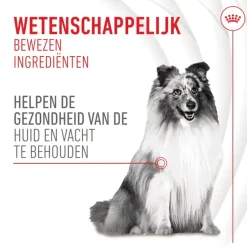 Royal Canin Skin & Coat Supplements Chews Hond