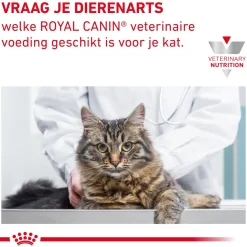 Royal Canin Skin & Coat Wet