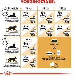 Royal Canin Sphynx Adult - Kattenvoer