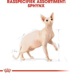 Royal Canin Sphynx Adult - Kattenvoer