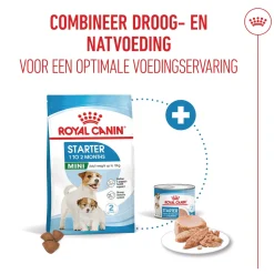 Royal Canin Starter Mousse Mother & Babydog - Hondenvoer