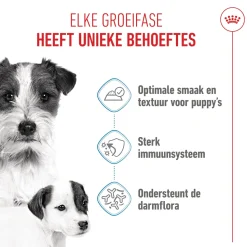 Royal Canin Starter Mousse Mother & Babydog - Hondenvoer