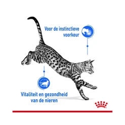 Royal Canin Sterilised Indoor 7+ in Gravy - Kattenvoer