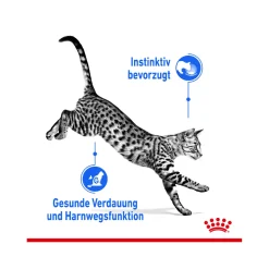 Royal Canin Sterilised Indoor in Jelly - Kattenvoer