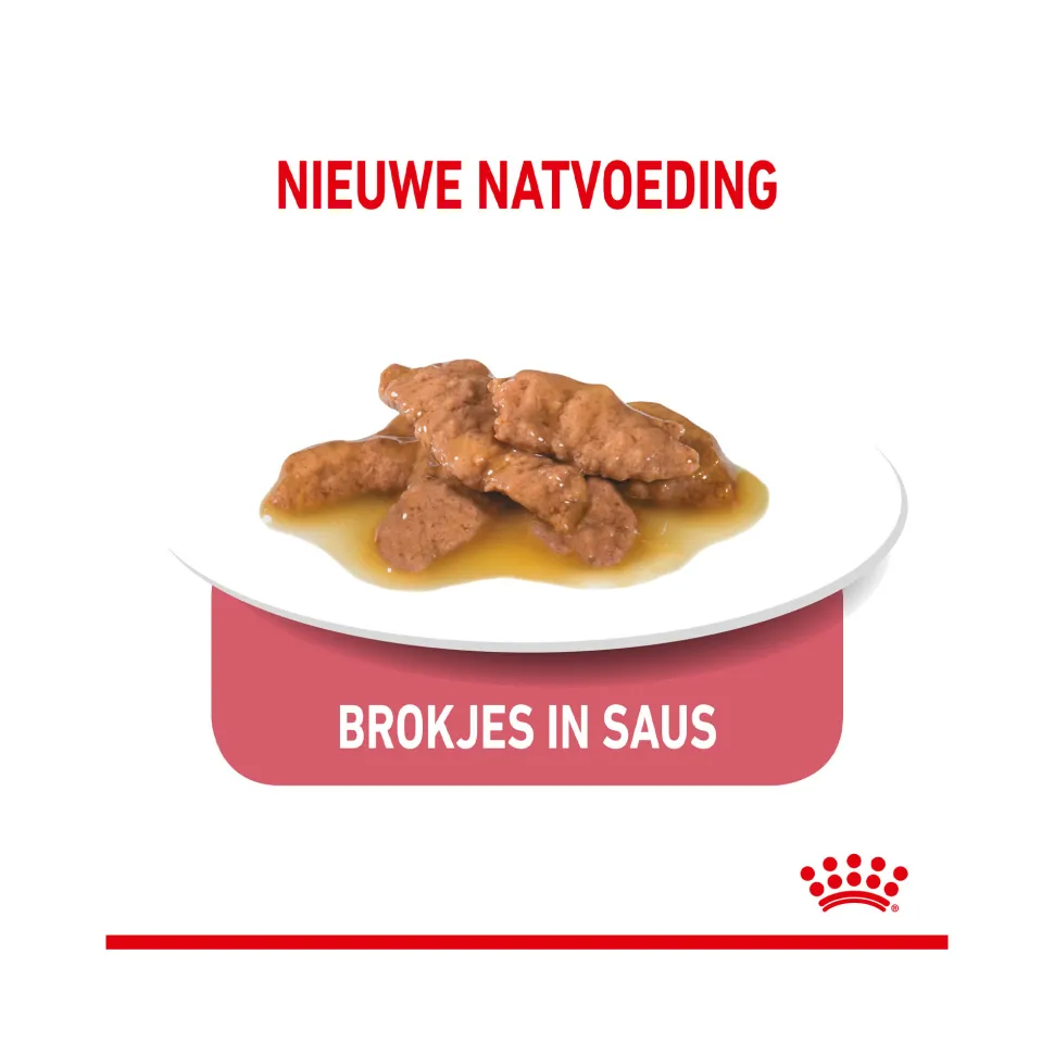 Royal Canin Sterilised Indoor in Gravy - Kattenvoer