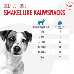 Royal Canin Training Treats