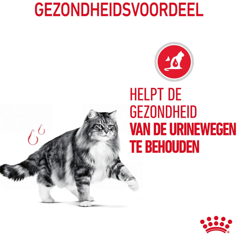 Royal Canin Urinary Care - Kattenvoer