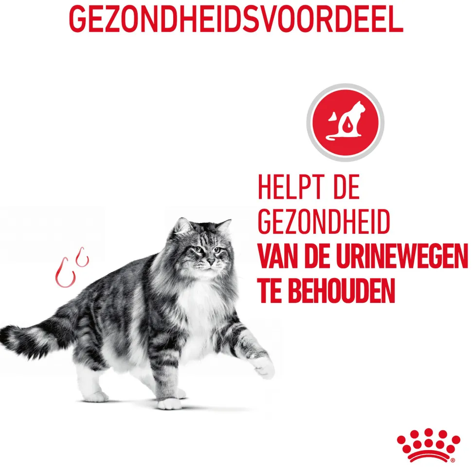 Royal Canin Urinary Care - Kattenvoer