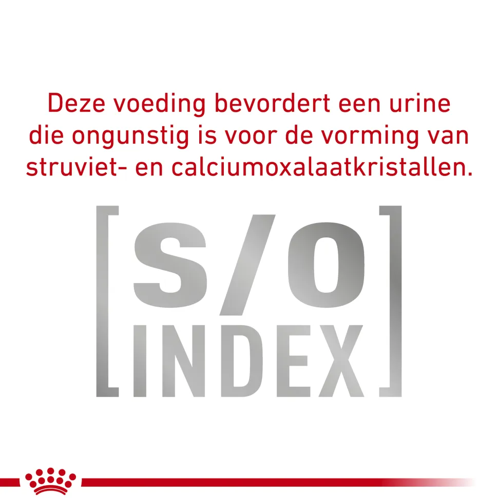 Royal Canin Urinary S/O Ageing 7+ Hond