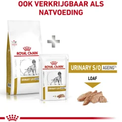 Royal Canin Urinary S/O Ageing 7+ Hond