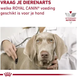 Royal Canin Urinary S/O Hond - Blik