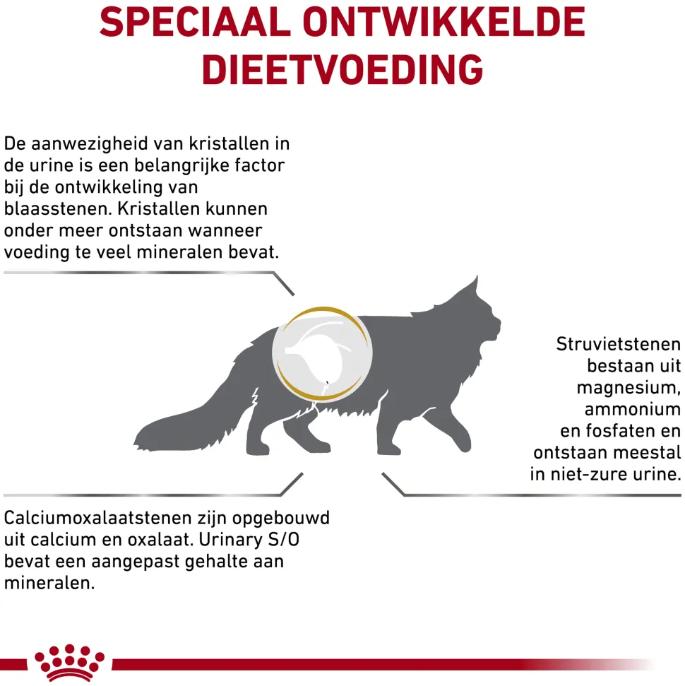 Royal Canin Urinary S/O Kat