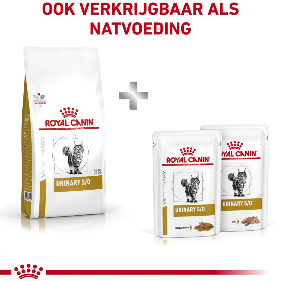 Royal Canin Urinary S/O Kat