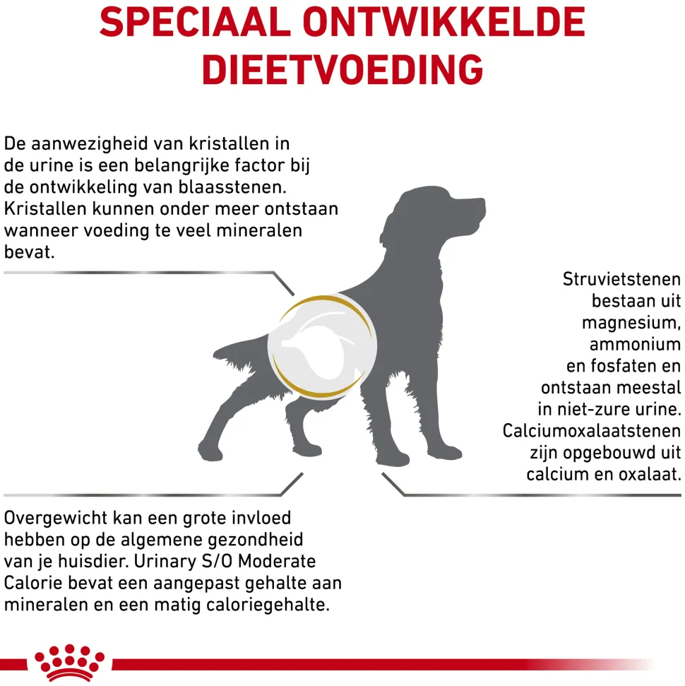 Royal Canin Urinary S/O Moderate Calorie Hond