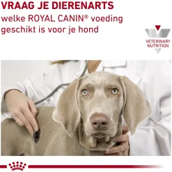 Royal Canin Urinary S/O Moderate Calorie Wet Hond