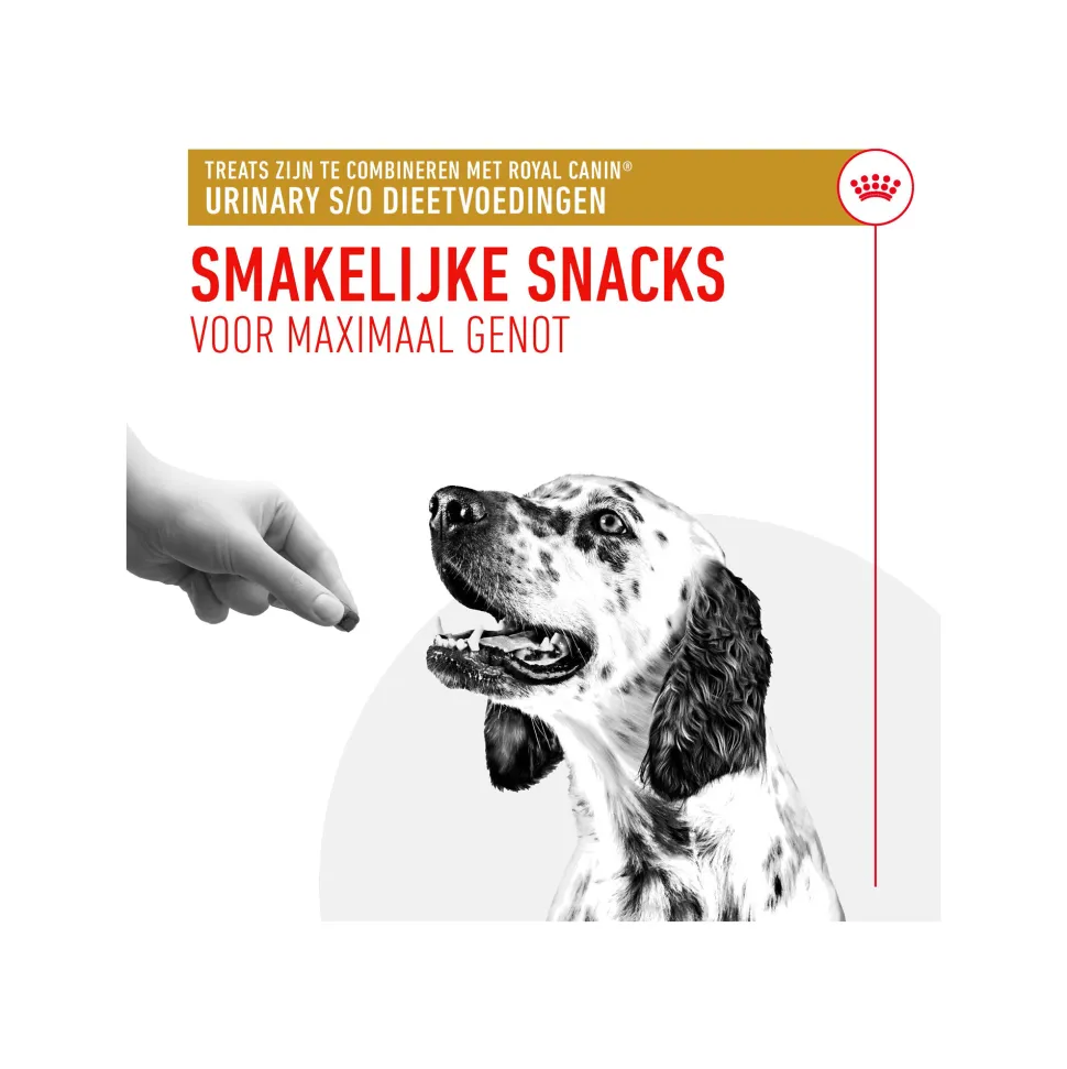 Royal Canin Urinary S/O Treats