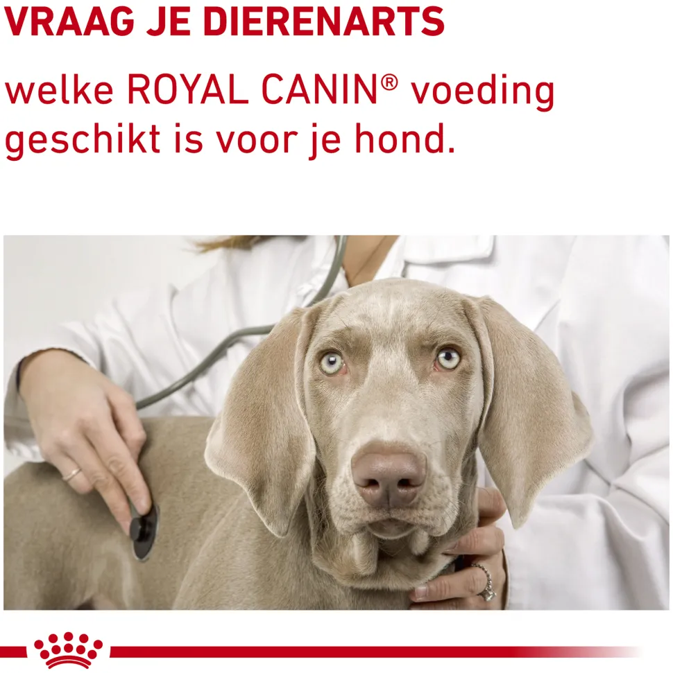 Royal Canin VCN - Adult Large Dog