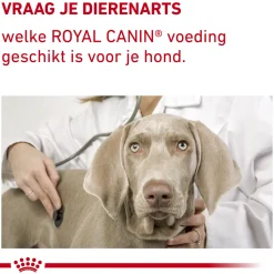 Royal Canin VCN - Mature Consult Small Dog