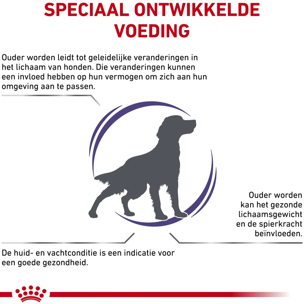 Royal Canin VCN - Mature Consult Medium Dog