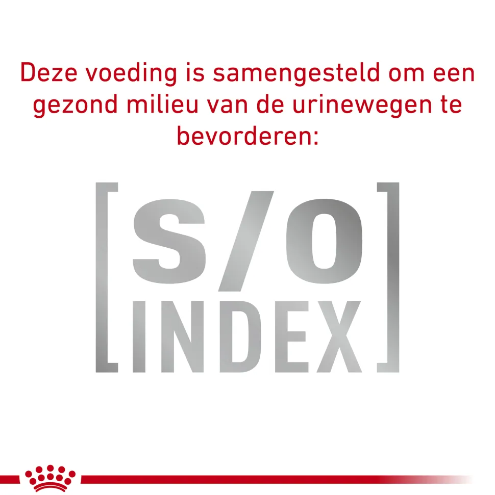 Royal Canin VCN - Mature Consult Balance - Cat - Maaltijdzakje