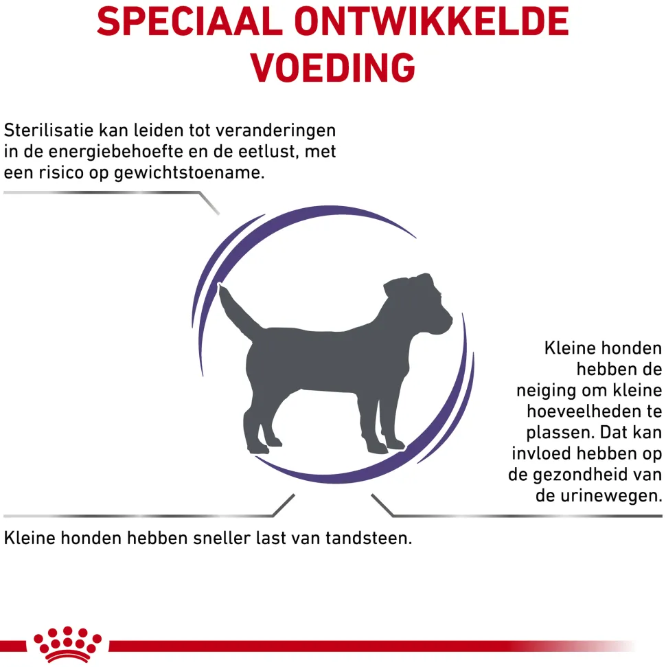 Royal Canin VCN - Neutered Adult Small Dog