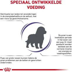 Royal Canin VCN - Neutered Junior Large Dog