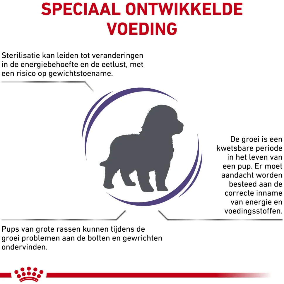 Royal Canin VCN - Neutered Junior Large Dog