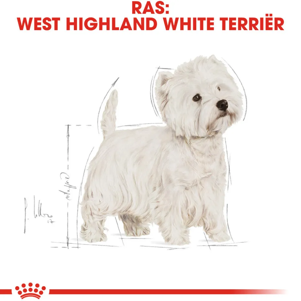 Royal Canin West Highland White Terrier Adult - Hondenvoer