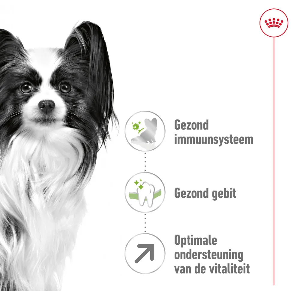 Royal Canin X-Small Adult 8+ - Hondenvoer