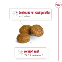 Royal Canin X-Small Adult 8+ - Hondenvoer