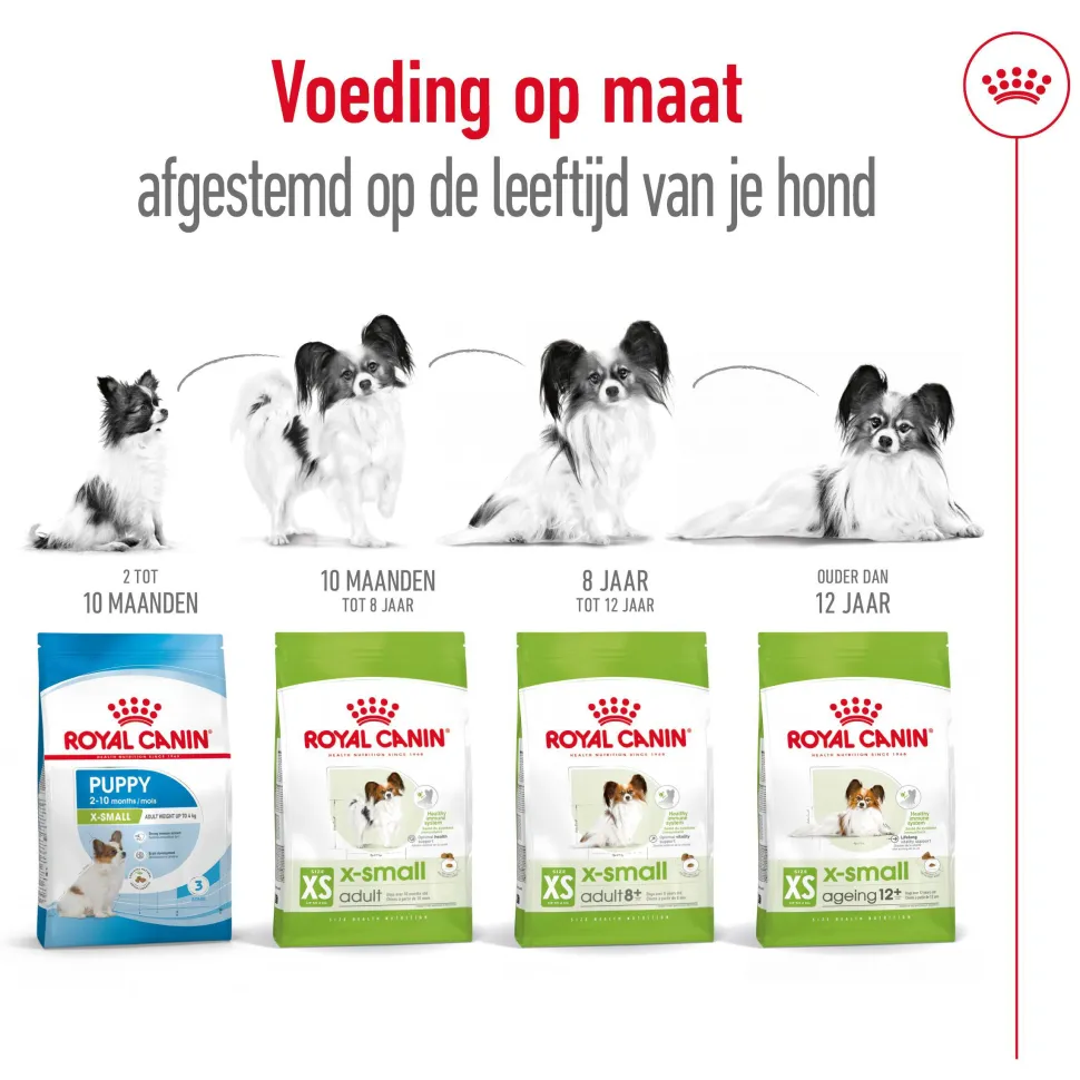 Royal Canin X-Small Adult 8+ - Hondenvoer