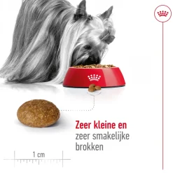 Royal Canin X-Small Adult 8+ - Hondenvoer