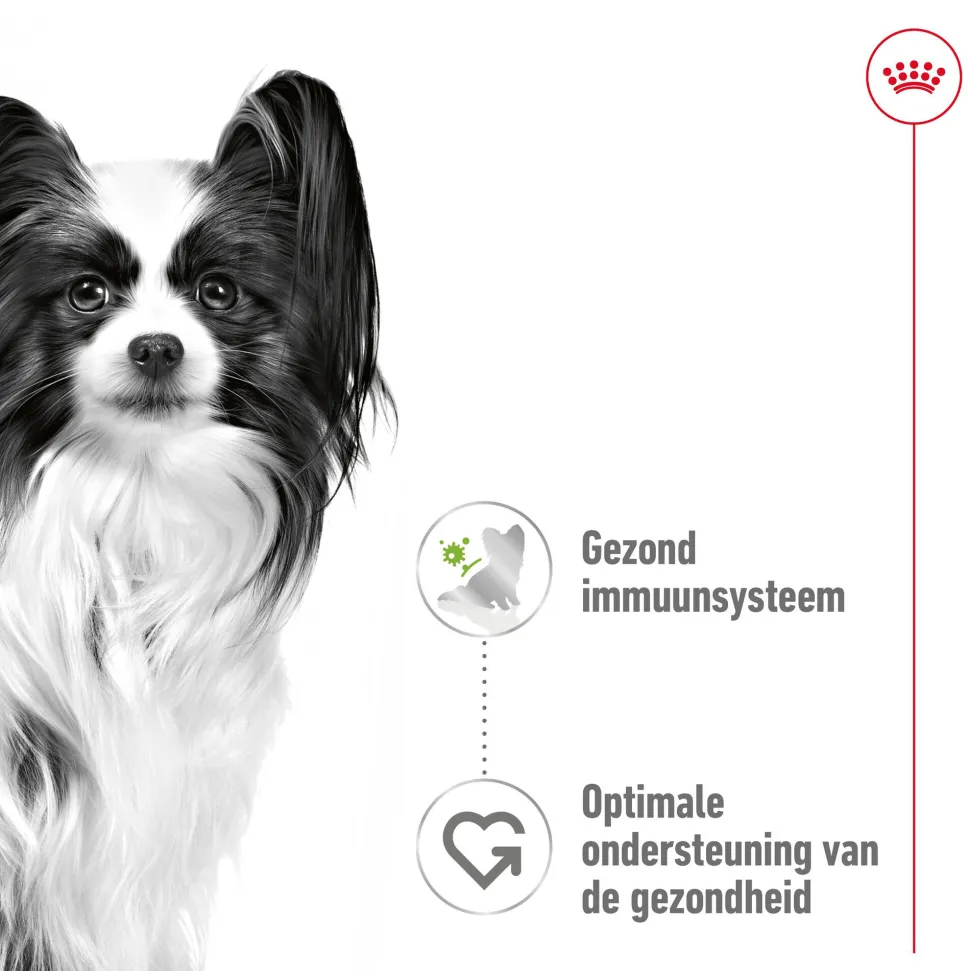 Royal Canin X-Small Adult Wet - Maaltijdzakje - Hondenvoer