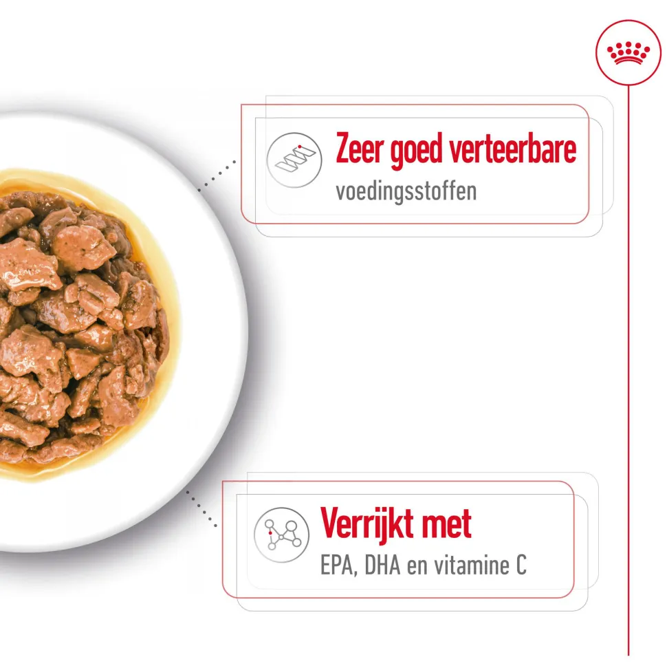Royal Canin X-Small Adult Wet - Maaltijdzakje - Hondenvoer