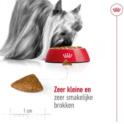 Royal Canin X-Small Ageing 12+ - Hondenvoer
