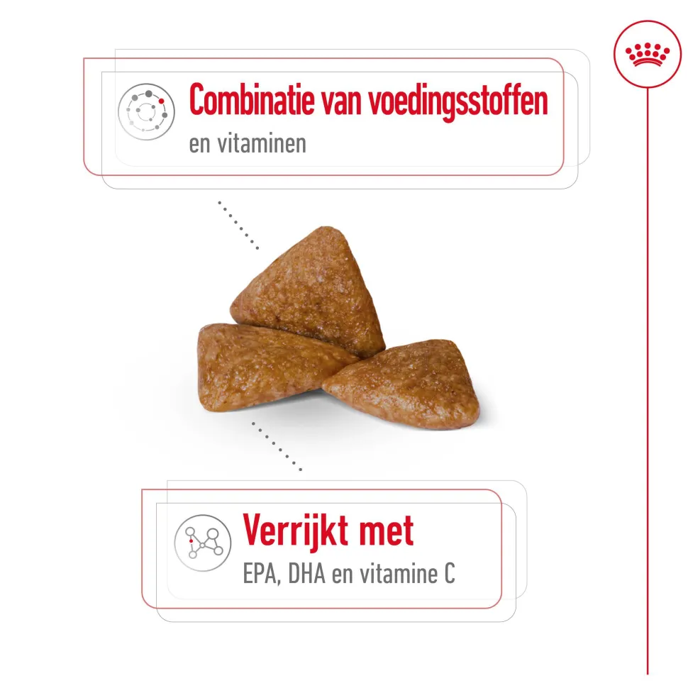 Royal Canin X-Small Ageing 12+ - Hondenvoer