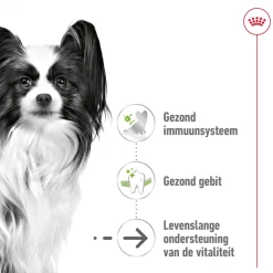 Royal Canin X-Small Ageing 12+ - Hondenvoer