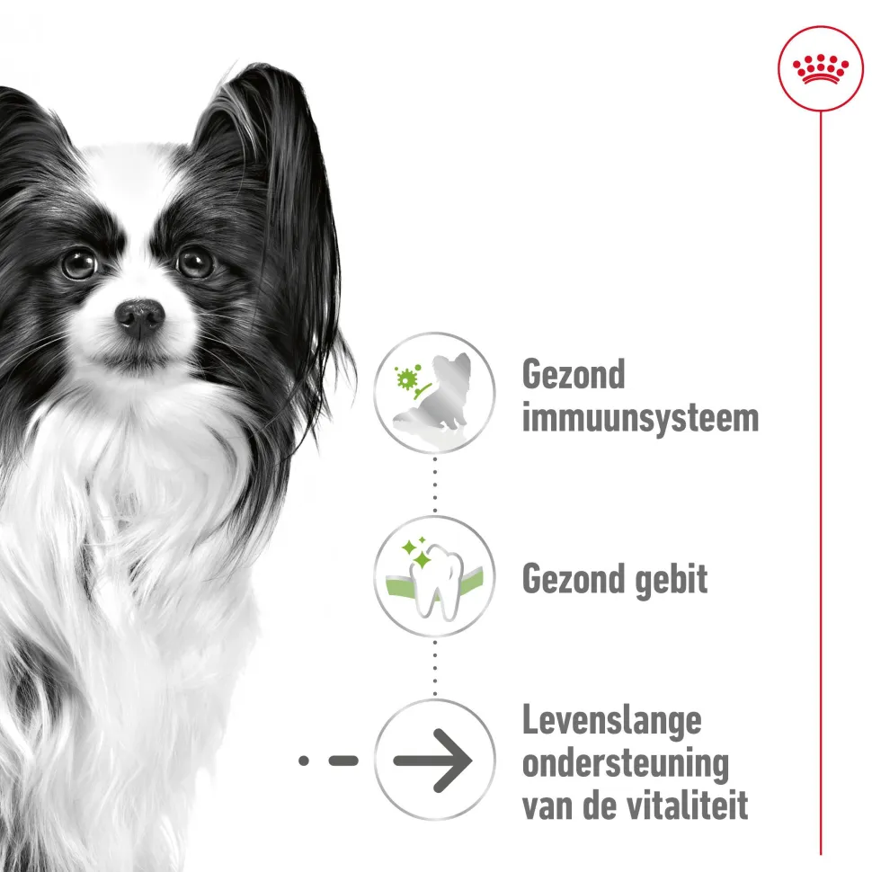 Royal Canin X-Small Ageing 12+ - Hondenvoer