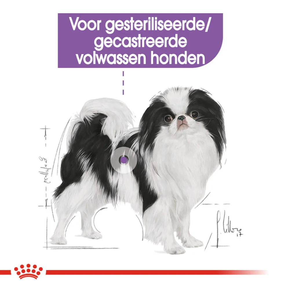 Royal Canin X-Small Sterilised - Hondenvoer