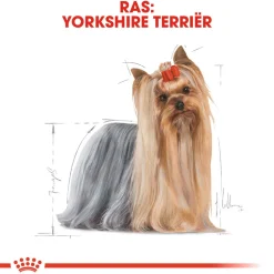 Royal Canin Yorkshire Terrier Adult Wet - Hondenvoer