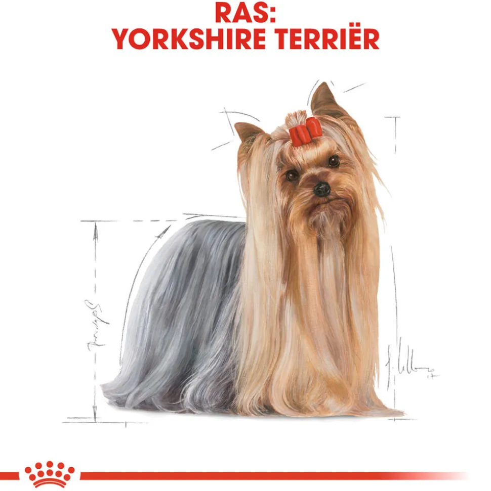 Royal Canin Yorkshire Terrier Adult Wet - Hondenvoer