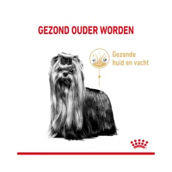 Royal Canin Yorkshire Terriër Adult 8+