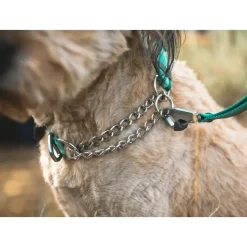 Ruffwear Chain Reaction Halsband