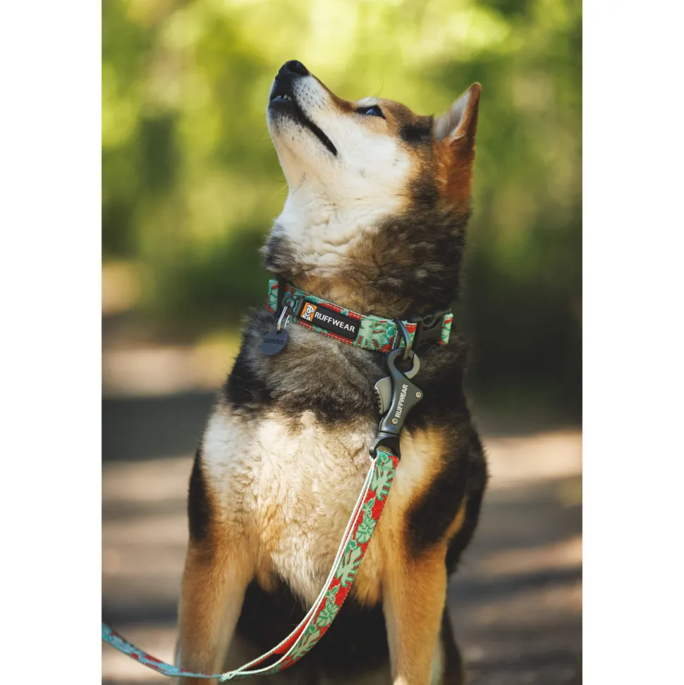 Ruffwear Crag Collar